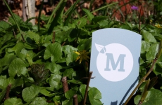 Wouter van Merriënboer – tuinaanleg en tuinontwerp